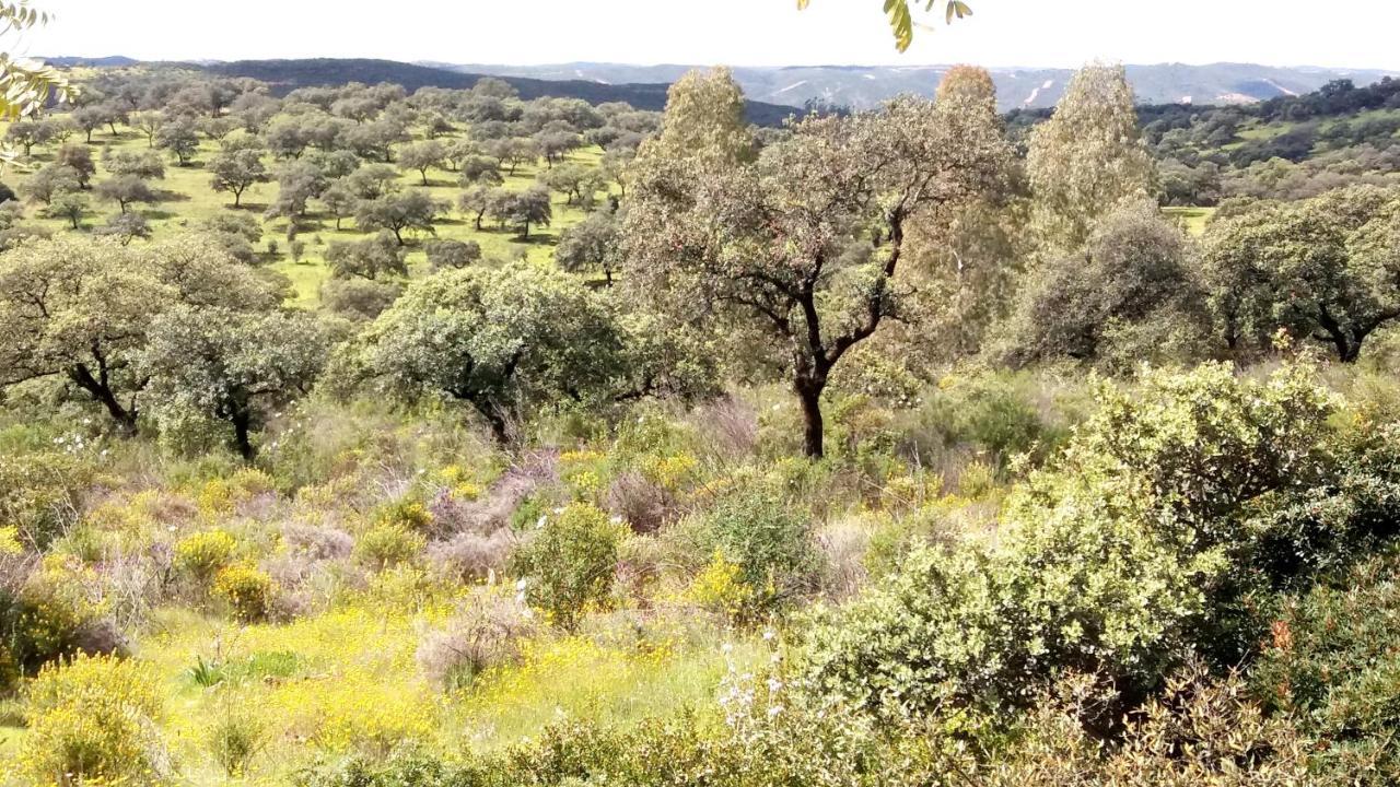 La Aulaga Casa rural